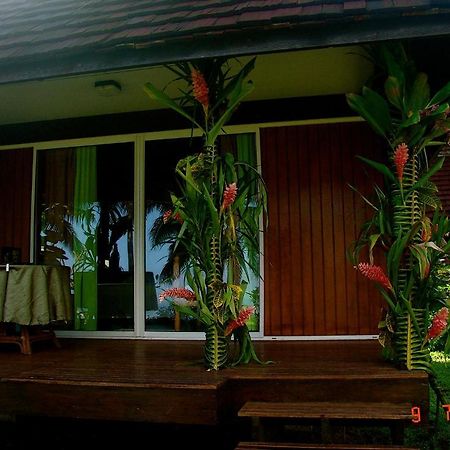 Tauhanihani Village Lodge La Vague Bleue Teahupoo Zewnętrze zdjęcie