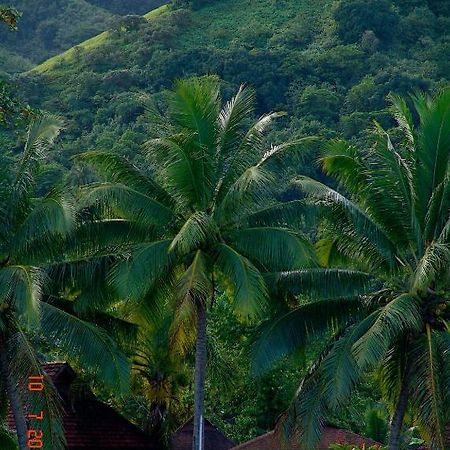 Tauhanihani Village Lodge La Vague Bleue Teahupoo Zewnętrze zdjęcie
