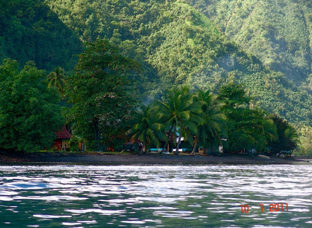 Tauhanihani Village Lodge La Vague Bleue Teahupoo Zewnętrze zdjęcie